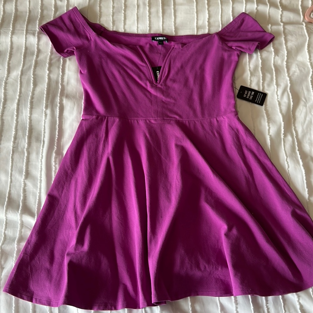 Express Dress Size Large